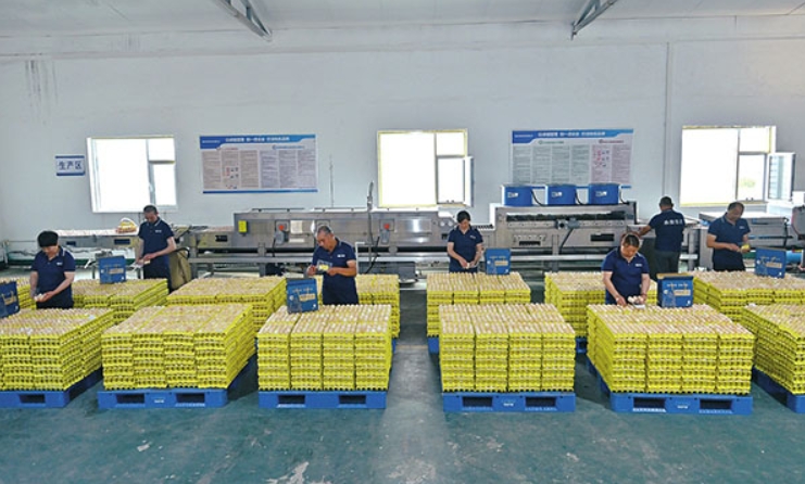 微信截图_20250807112415