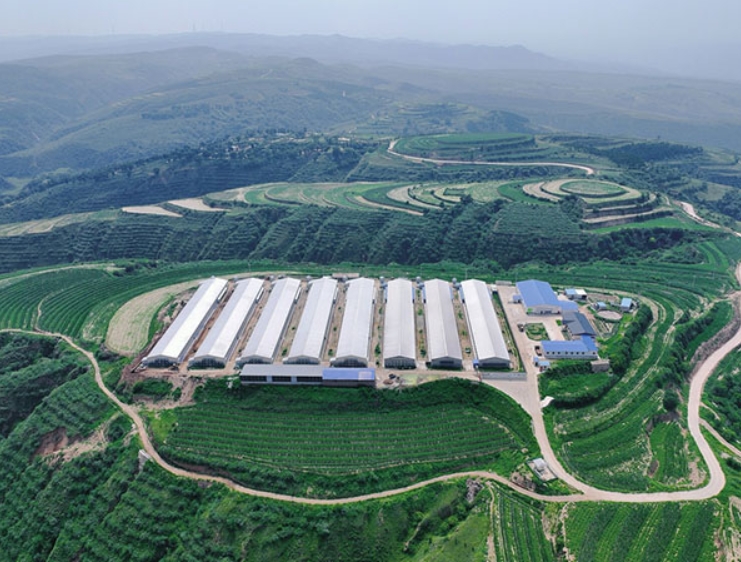 微信截图_20250807112450