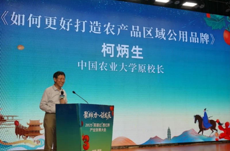 微信截图_20250807155904