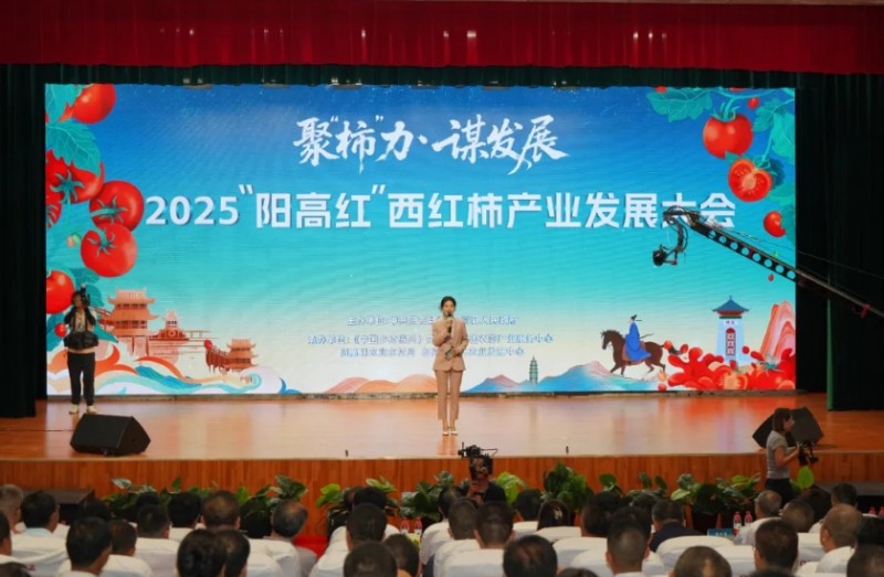 微信截图_20250807160015