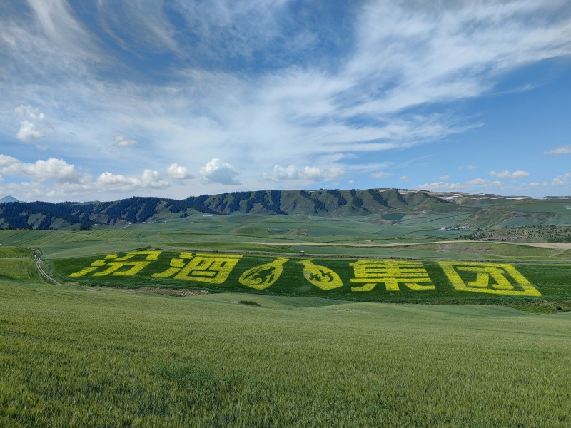 微信图片_20250729160605