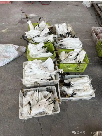 微信截图_20250811095555