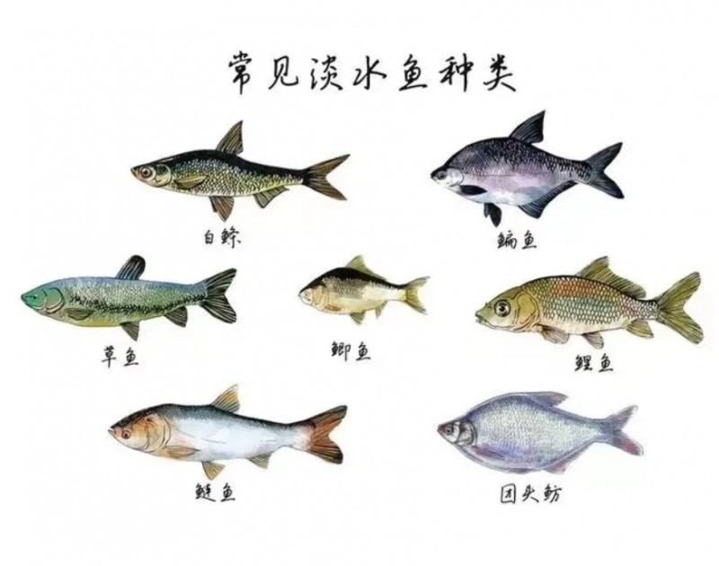 微信截图_20250811103902