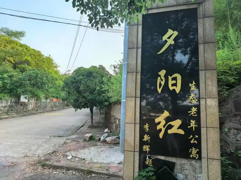 夕阳红公寓非法集资28亿爆雷,区民政局长等三人被诉滥用职权案重审开庭