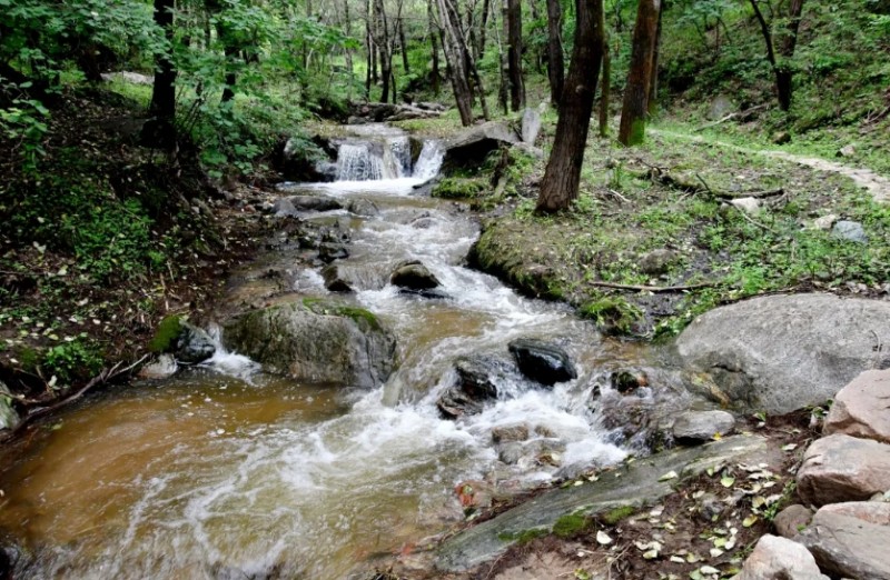 微信截图_20250812113119