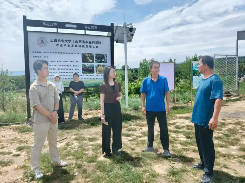 微信截图_20250813160742