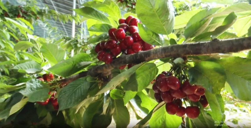 微信截图_20250814134836