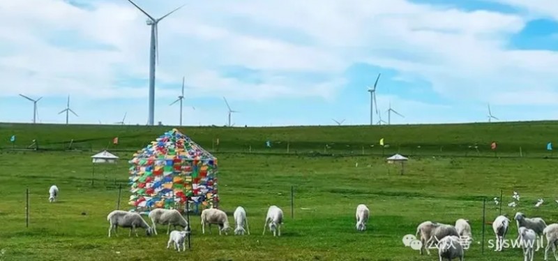 微信截图_20250814163805