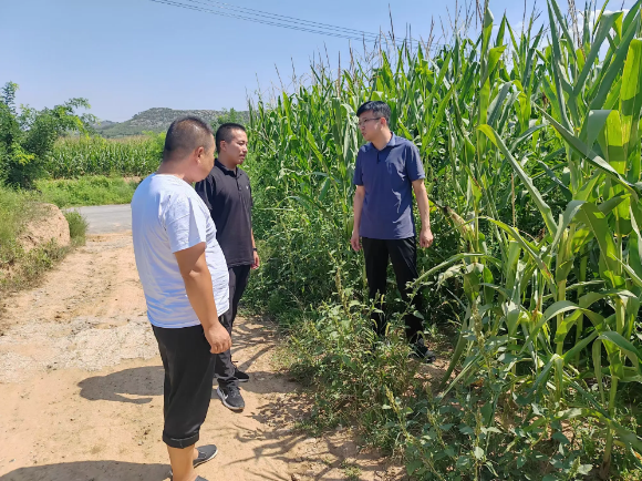 山西省长治市平顺县委副书记、政法委书记张兆祥到苗庄镇调研抗旱保粮等工作