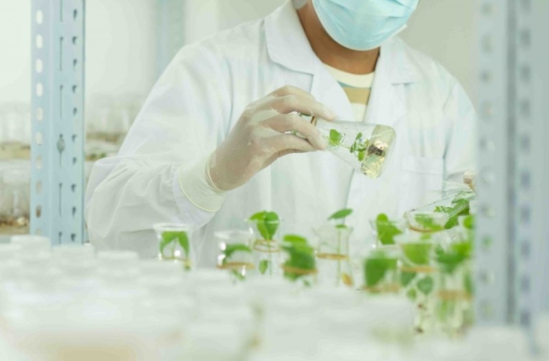 微信截图_20250818101715