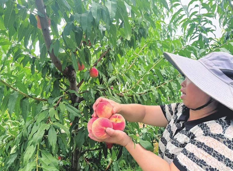 微信截图_20250819143320