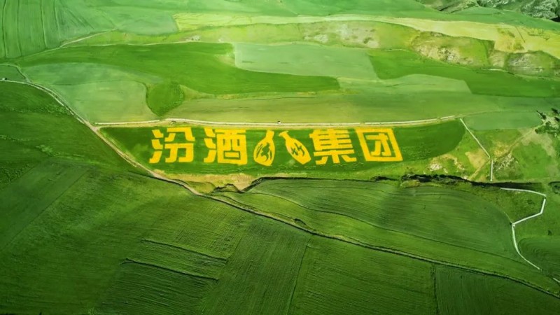 层层铁闸护清香！探秘汾酒严于国标的“硬核”质量防线