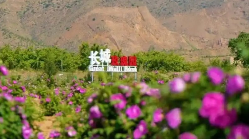 微信截图_20250821143338