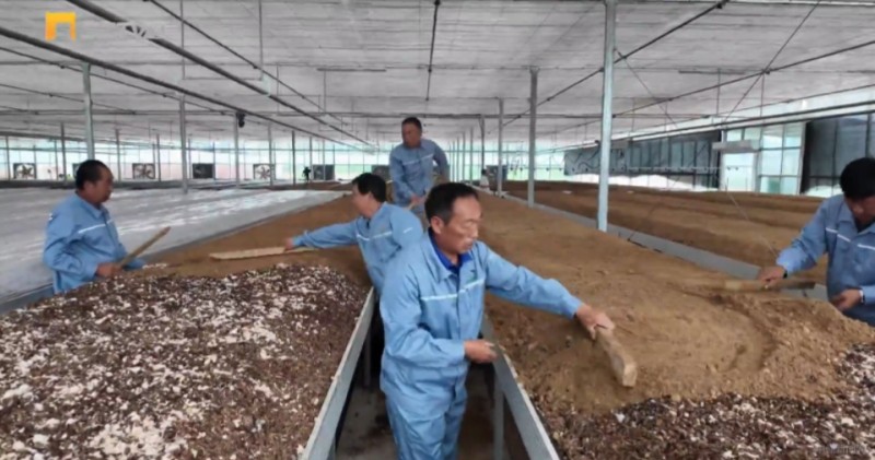 微信截图_20250821150136