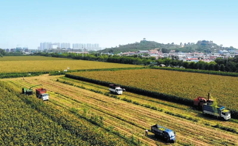 微信截图_20250822161936