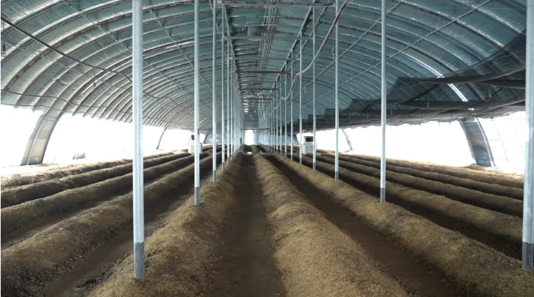 微信截图_20250825102833