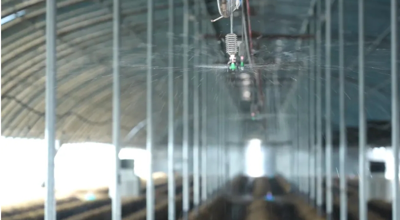 微信截图_20250825102841