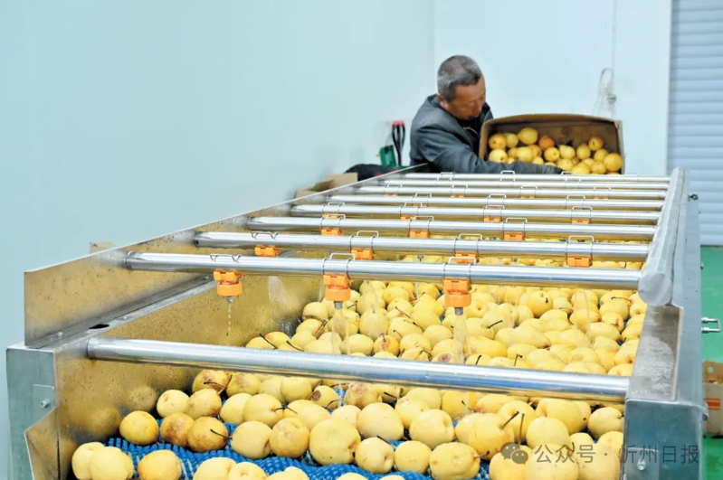 微信截图_20250825111357