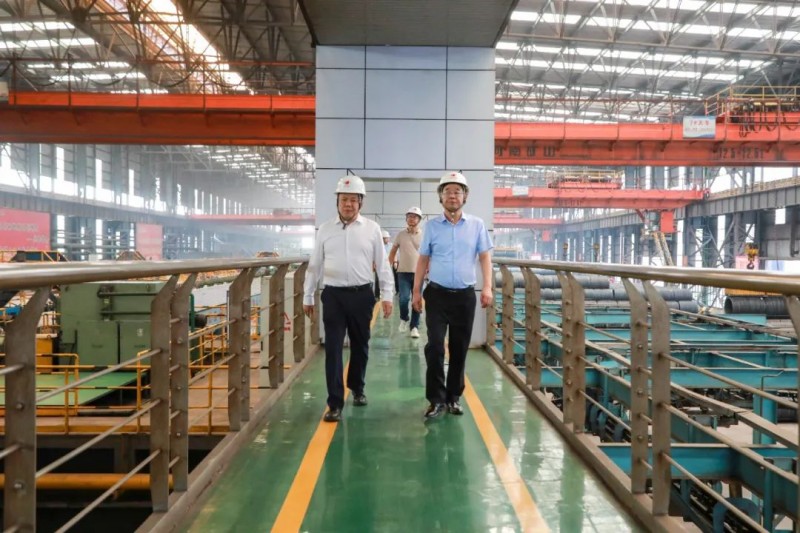 加速绿电布局 助力低碳转型 宏达钢铁集团与紫创光科集团签署70MW风力发电 30MW光伏发电项目