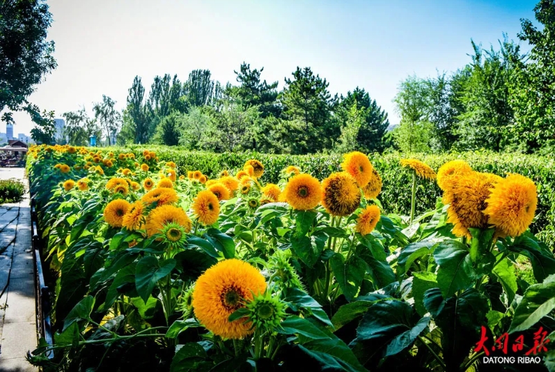 微信截图_20250825180335