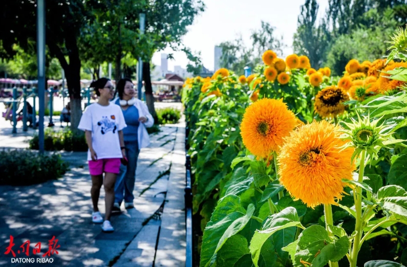 微信截图_20250825180412