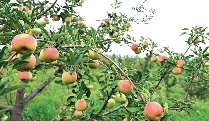 微信截图_20250826153840