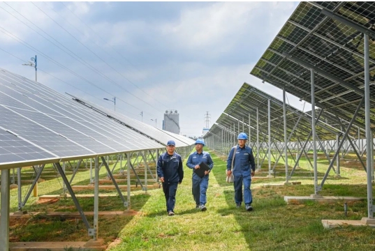 微信截图_20250827113914