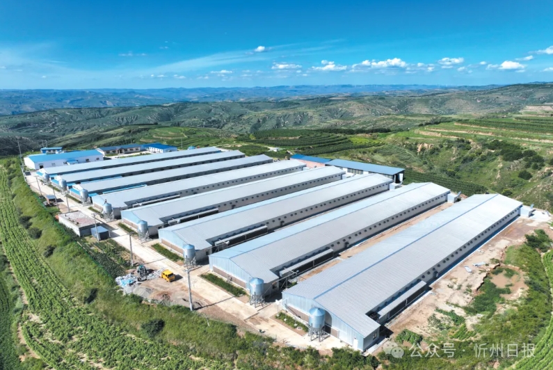 微信截图_20250827131459