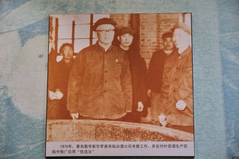 竹叶青系列丨“银发”与“Z世代”，竹叶青的双面市场攻略