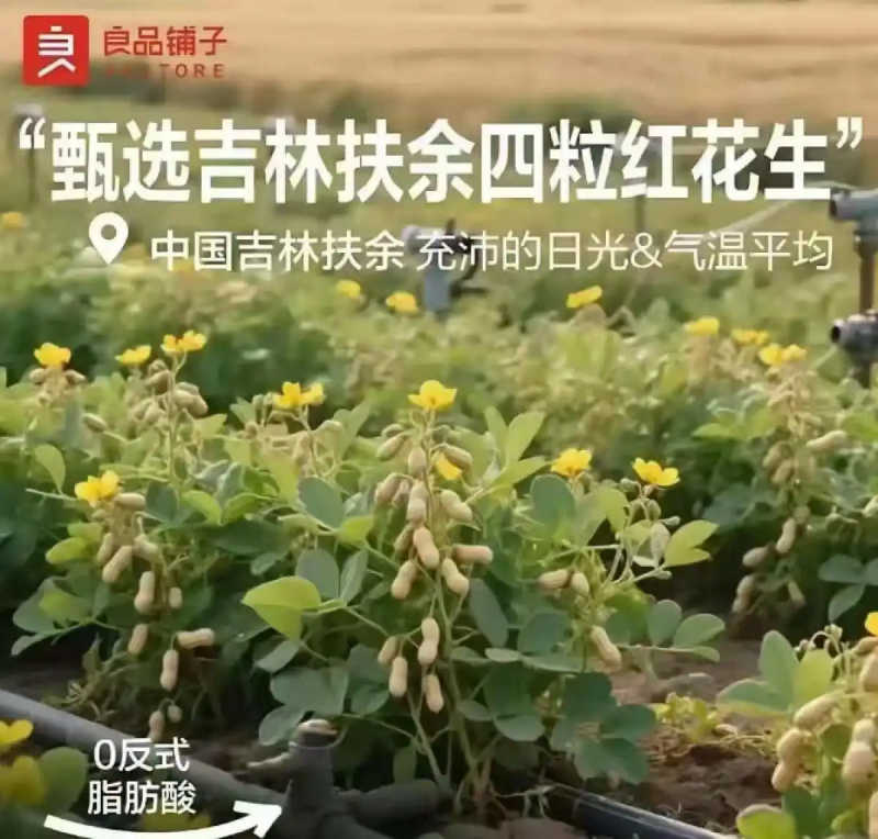 良品铺子为“花生上树”海报致歉：系错误使用AI生成的图片