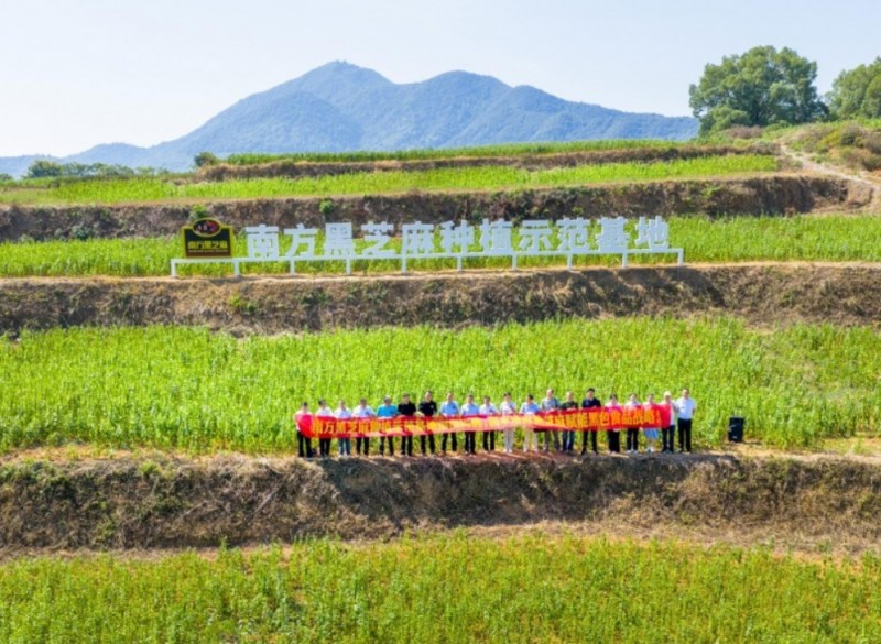 微信截图_20250901093140