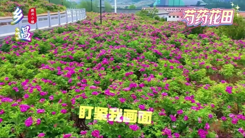 9月1日 唤醒您美好的一天 | 振兴小镇&middot;晋商俱乐部常务理事长单位