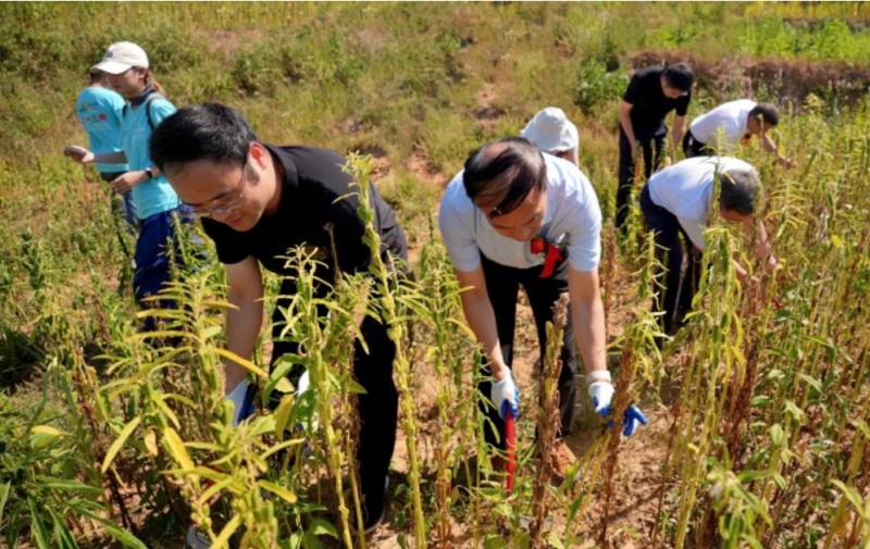 微信截图_20250901093210