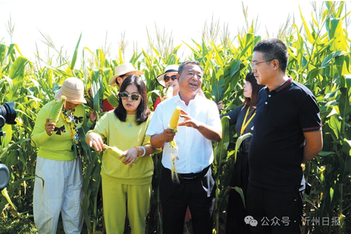 微信截图_20250901093755