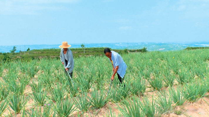 微信截图_20250901093916