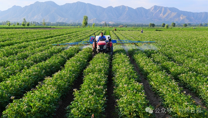 微信截图_20250901094134