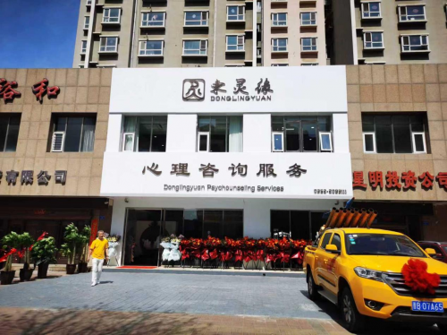 东灵缘心理咨询服务（总店）荣获 2025年度山西首届《专业心理咨询服务之星》评选活动冠军