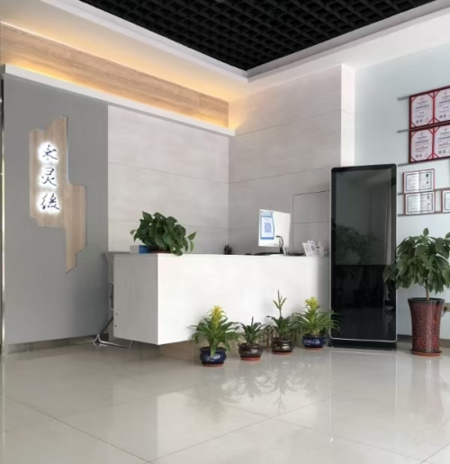 东灵缘心理咨询服务（总店）荣获 2025年度山西首届《专业心理咨询服务之星》评选活动冠军2