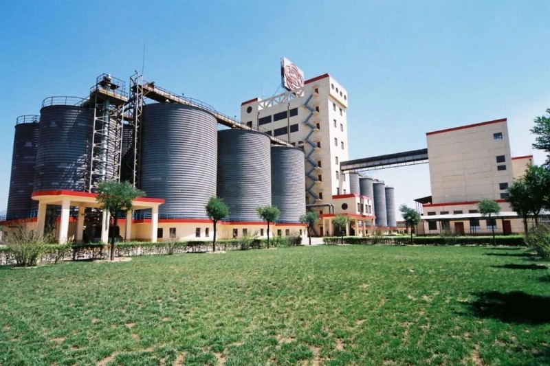 【传承与创新】山西杏花村，一缕酒脉为何绵延千年？