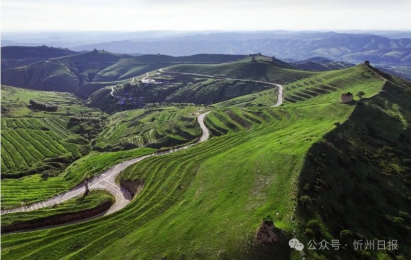 微信截图_20250905163736