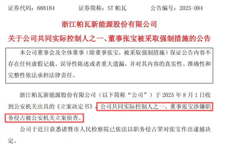 涉嫌侵占公司1.9亿元资金，张宝被批捕！他是大学博导，从教书到经商，成为上市公司董事长和实控人