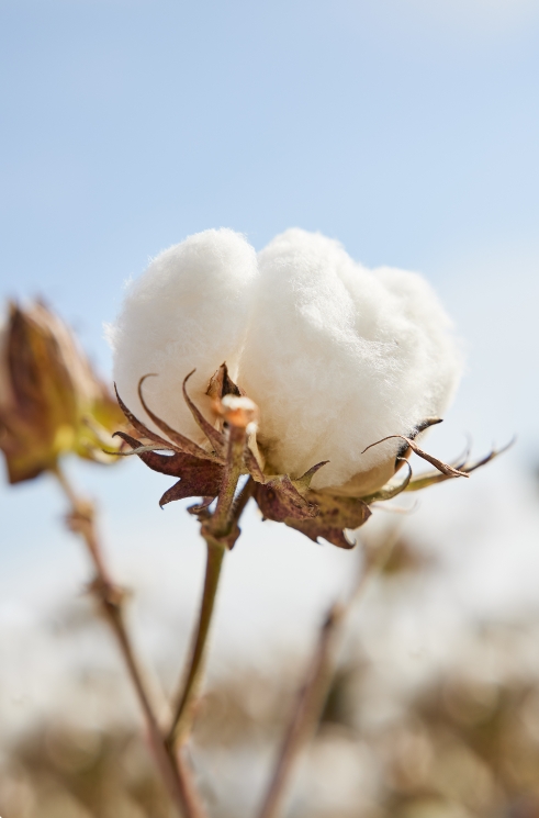 微信截图_20250908142157