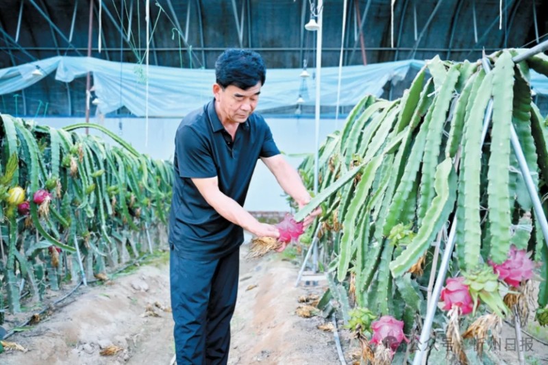 微信截图_20250909141522