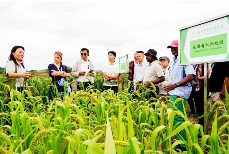 微信截图_20250910105750