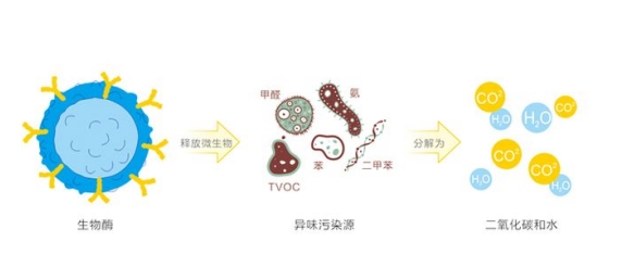 微信截图_20250910154024