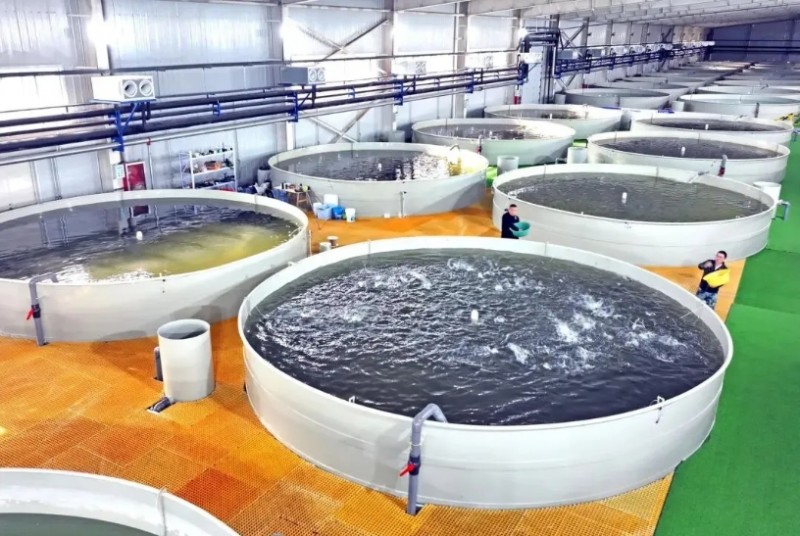 微信截图_20250912105923