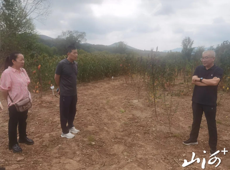 微信截图_20250915102945