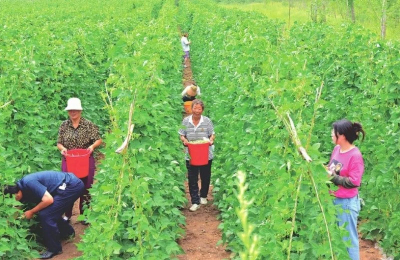 微信截图_20250919110627