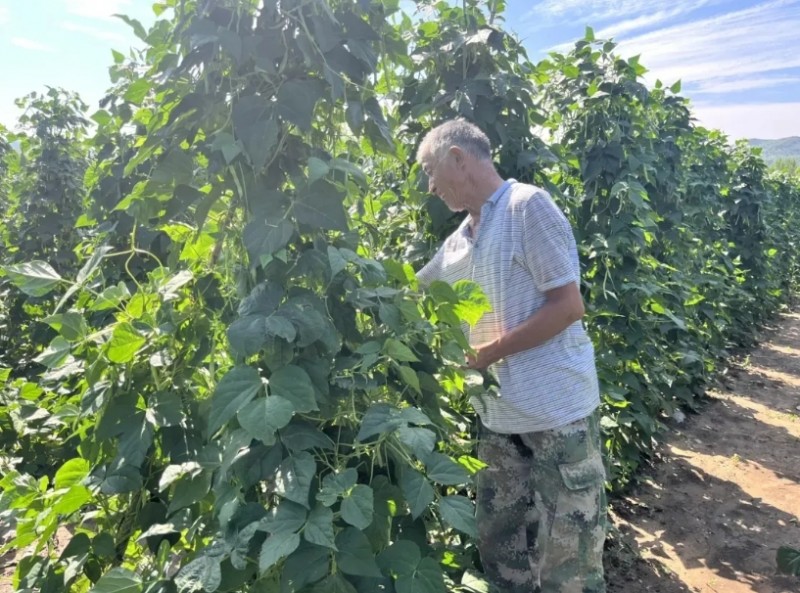 微信截图_20250919110644