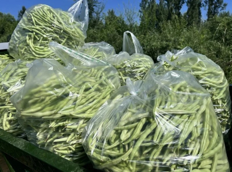 微信截图_20250919110706